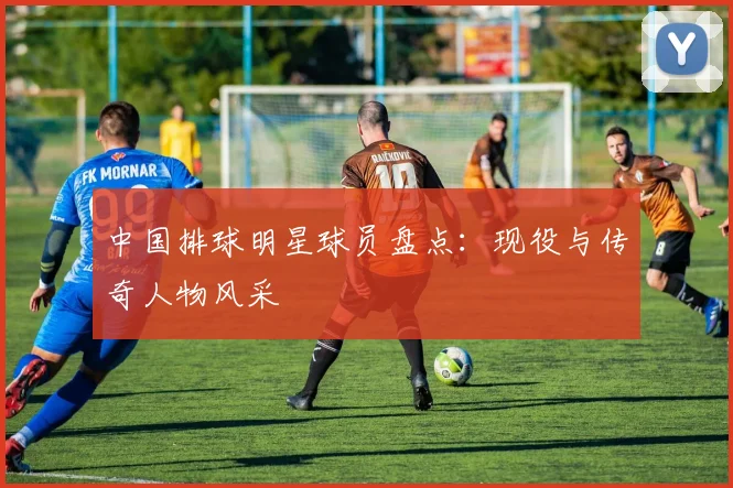 中国排球明星球员盘点:现役与传奇人物风采
